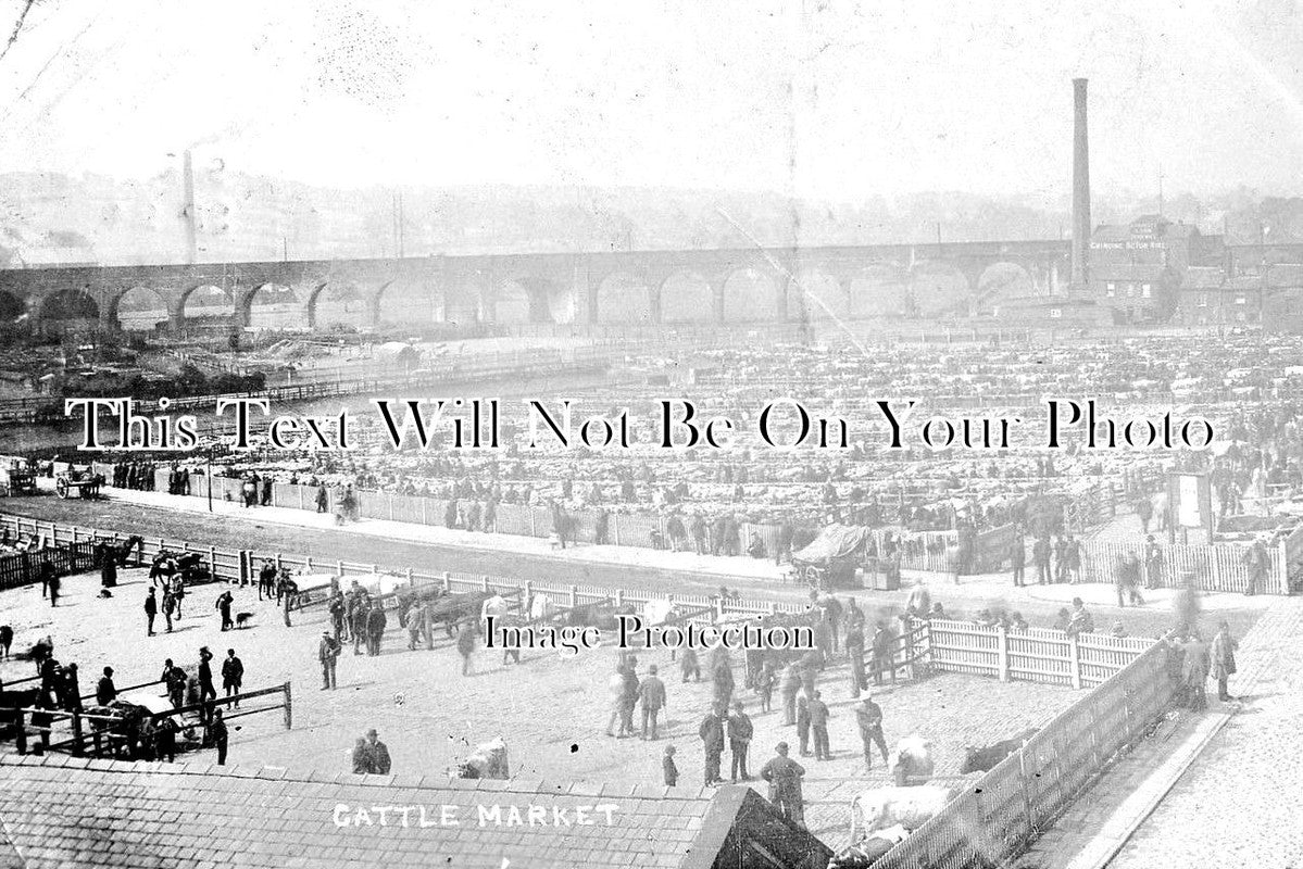 YO 3493 - Wakefield Cattle Market, Yorkshire c1905