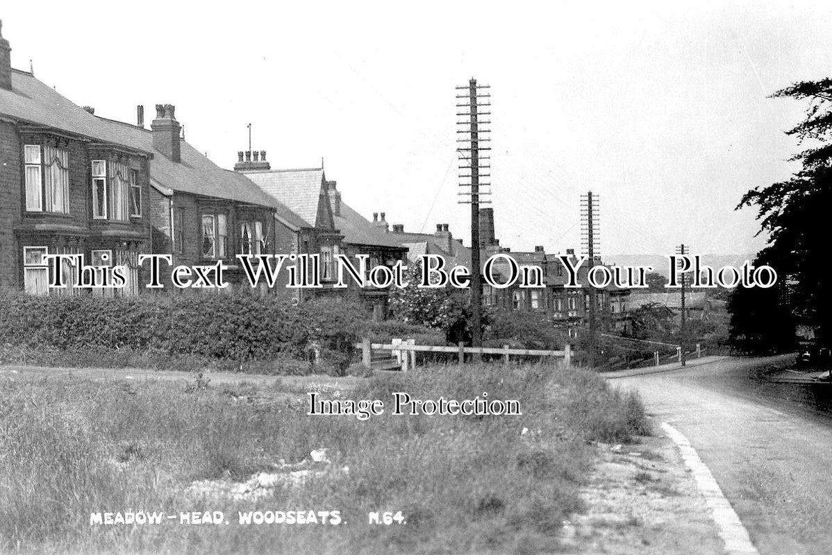 YO 4339 - Meadow - Head, Woodseats, Sheffield, Yorkshire