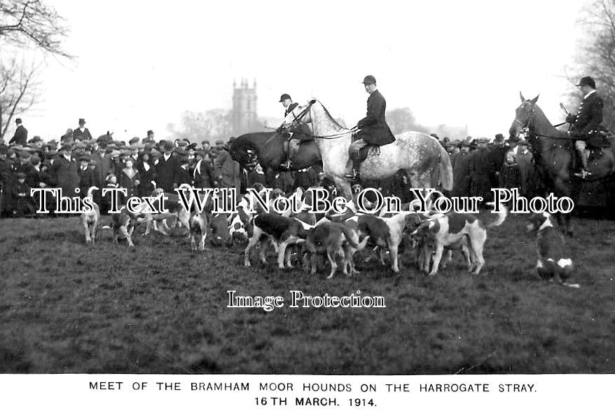 YO 4491 - Meet Of Bramham Moor Hounds On Harrogate Stray, Yorkshire 1914