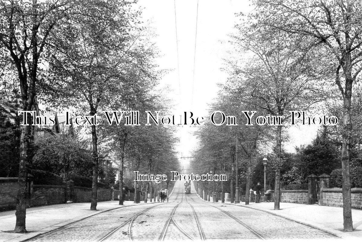 YO 4527 - Montgomery Road, Sheffield, Yorkshire c1904