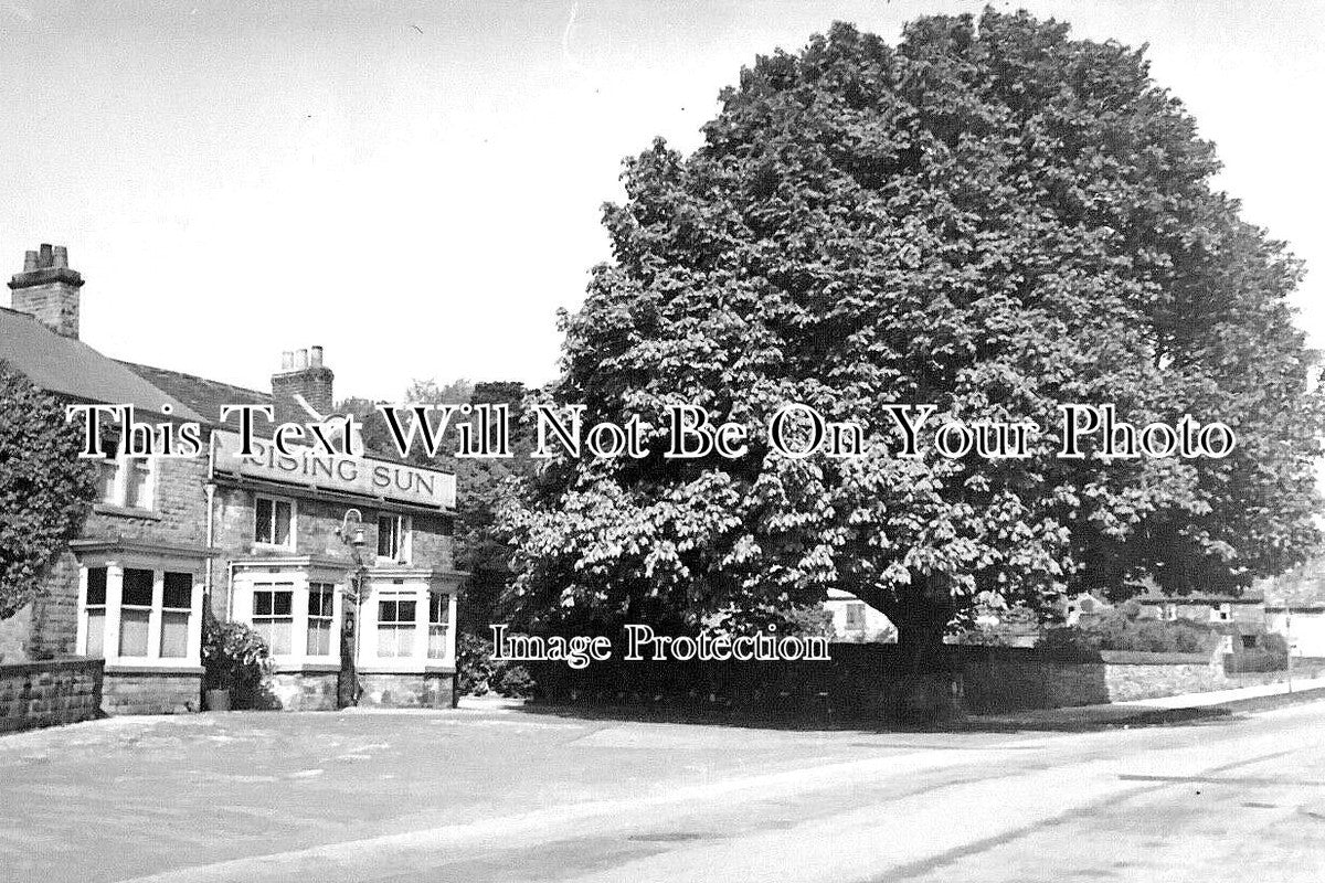 YO 6003 - The Rising Sun Pub, Abbey Lane, Sheffield, Yorkshire
