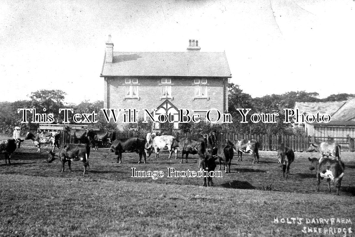 YO 6251 - Holts Dairy Farm, Sheepridge, Huddersfield, Yorkshire