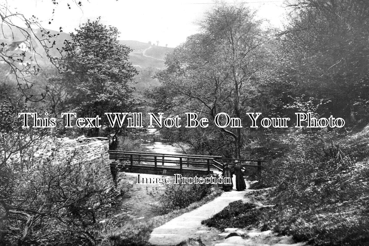 YO 6263 - Rivelin Valley, Sheffield, Yorkshire
