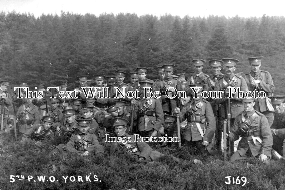 YO 6646 - 5th PWO Yorks Regt, Yorkshire Military Army Group