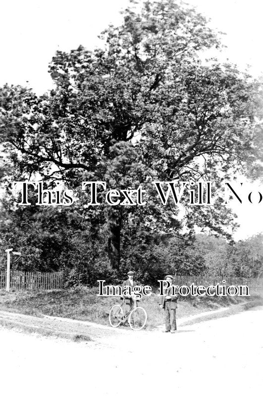 YO 6653 - The Ash Tree, Barkston Ash, Yorkshire