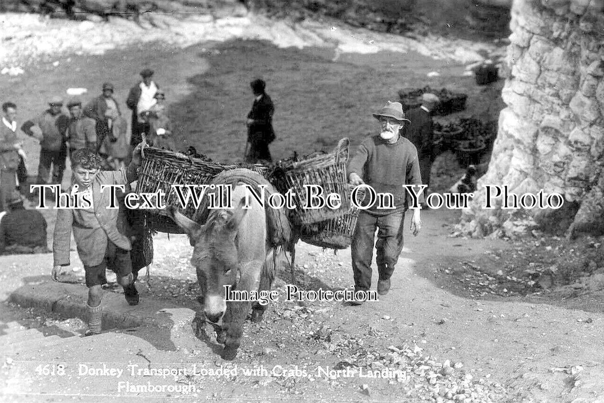 YO 6847 - North Landing, Flamborough, Yorkshire