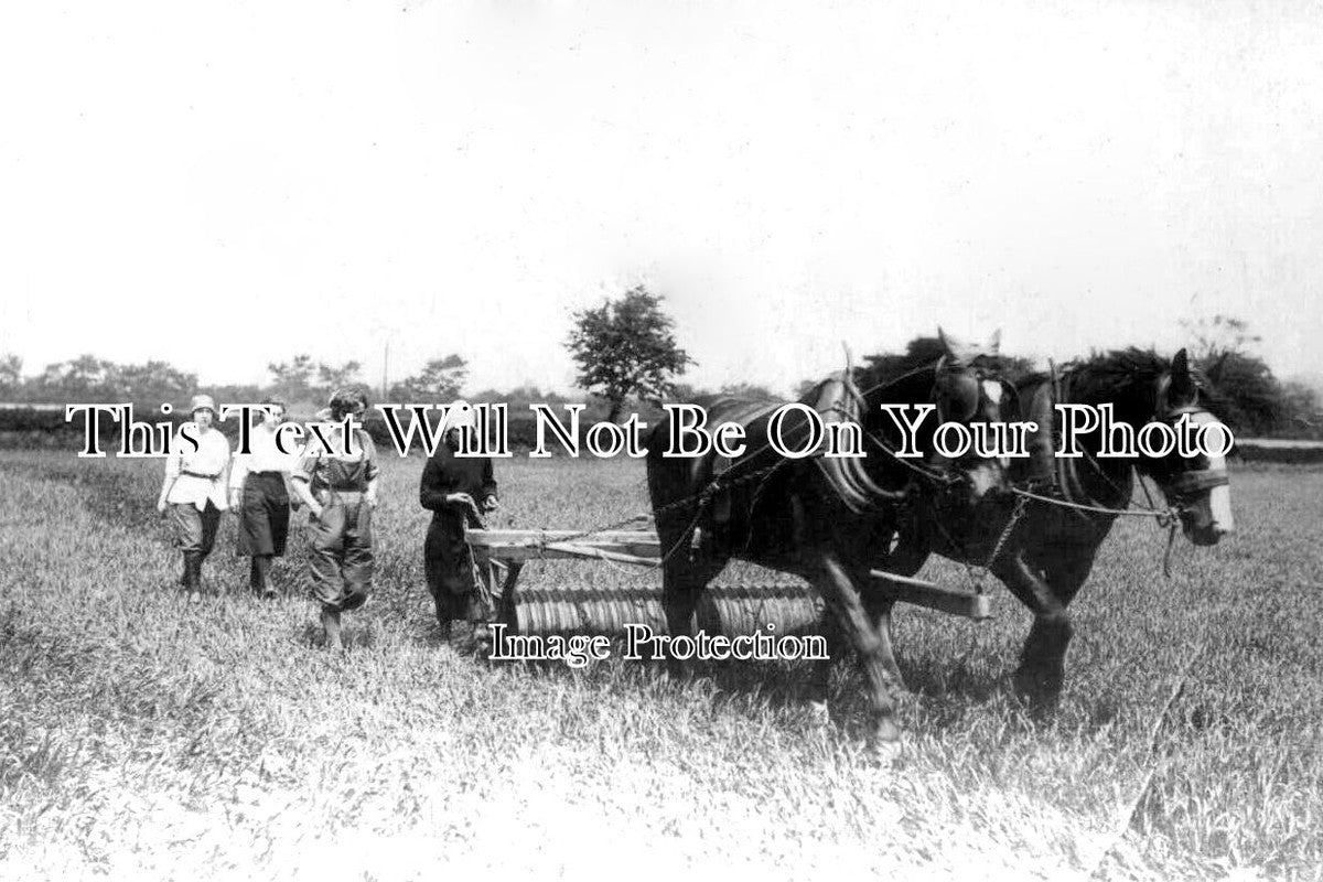 YO 6945 - Farming At Bawtry Agricultural Training Centre, Yorkshire