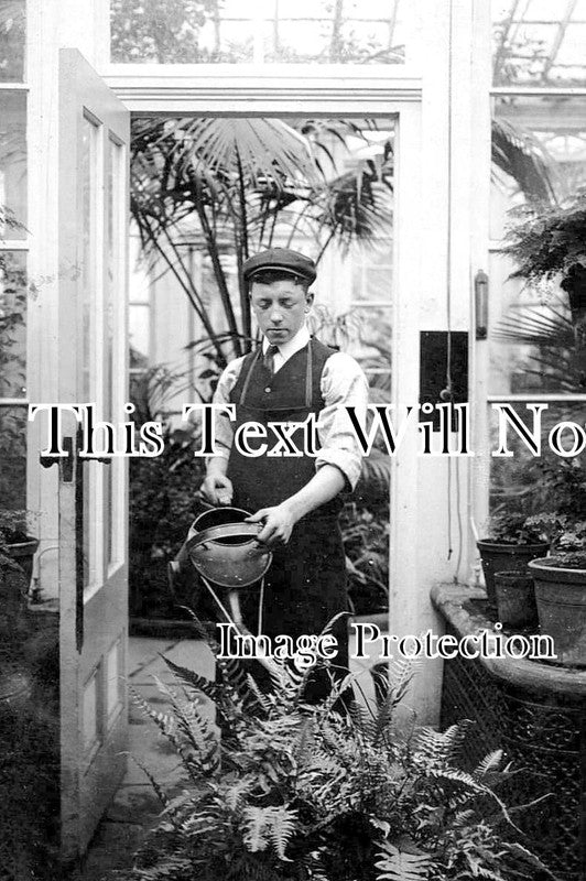 YO 7415 - Gardener At Methley Hall Greenhouse, Yorkshire c1910