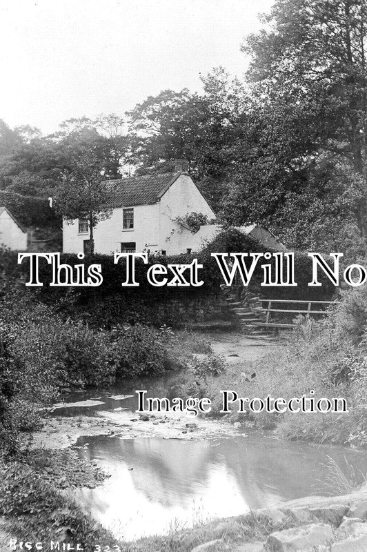 YO 7480 - Rigg Mill Near Whitby, Yorkshire