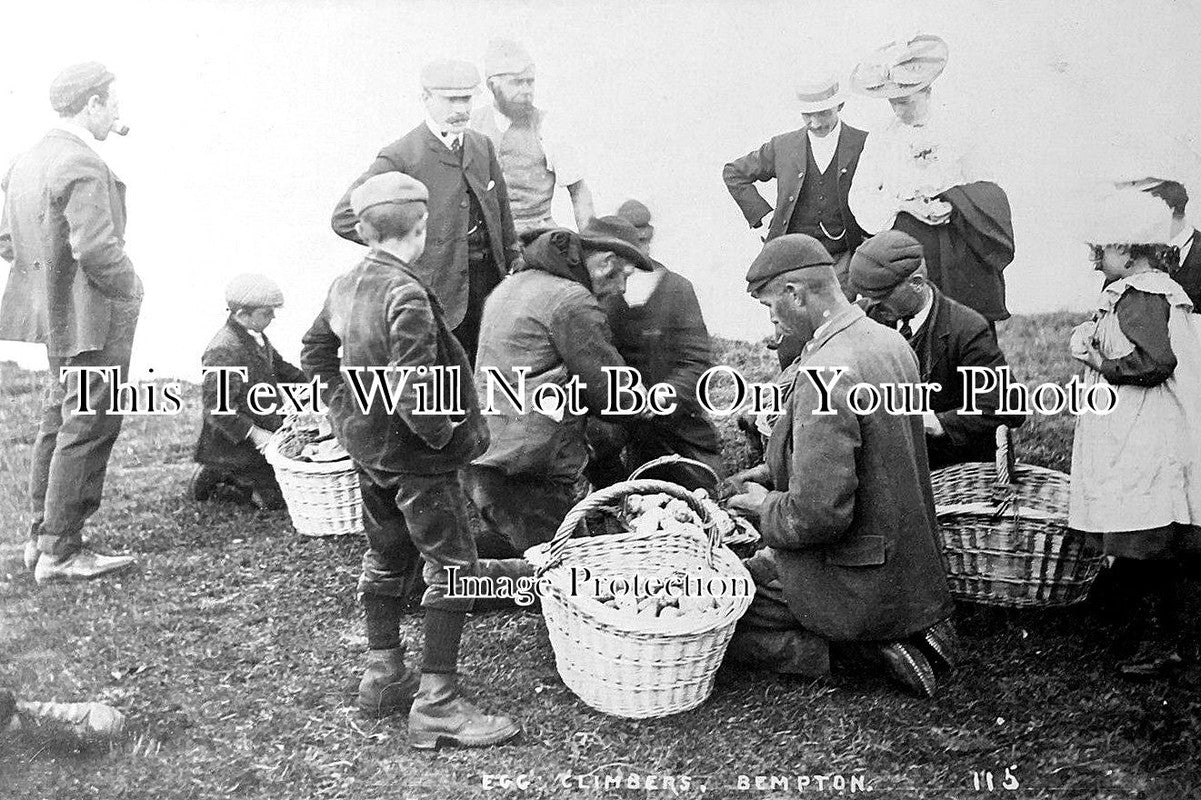 YO 7491 - Egg Climbers, Bempton Cliffs, Yorkshire