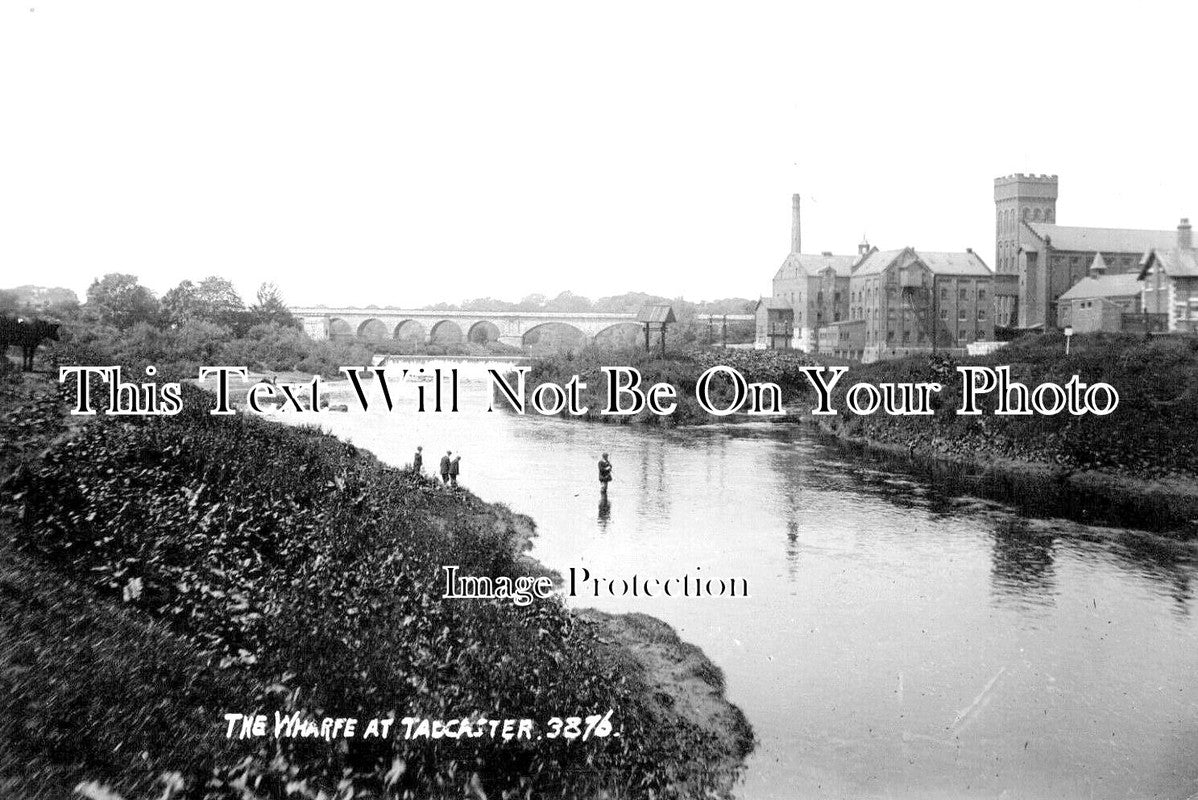 YO 7716 - The Wharfe At Tadcaster, Yorkshire c1913