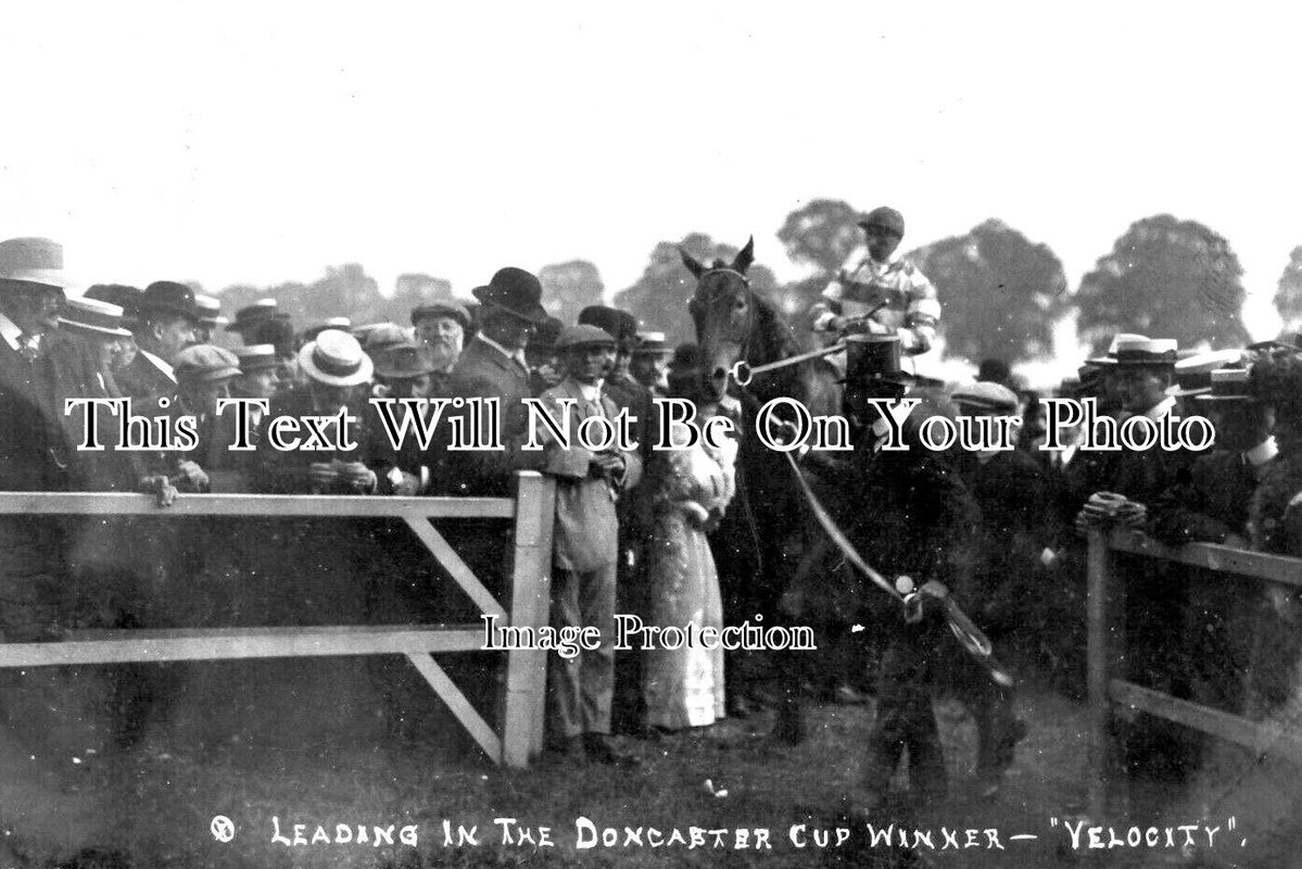 YO 8143 - Leading In The Doncaster Cup Winner, Races, Yorkshire