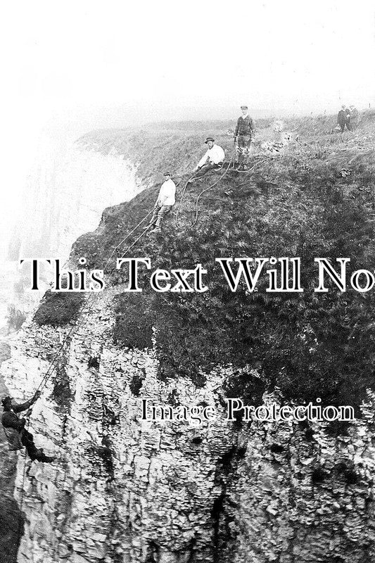 YO 8208 - Bempton Cliff Egg Climbers, Yorkshire