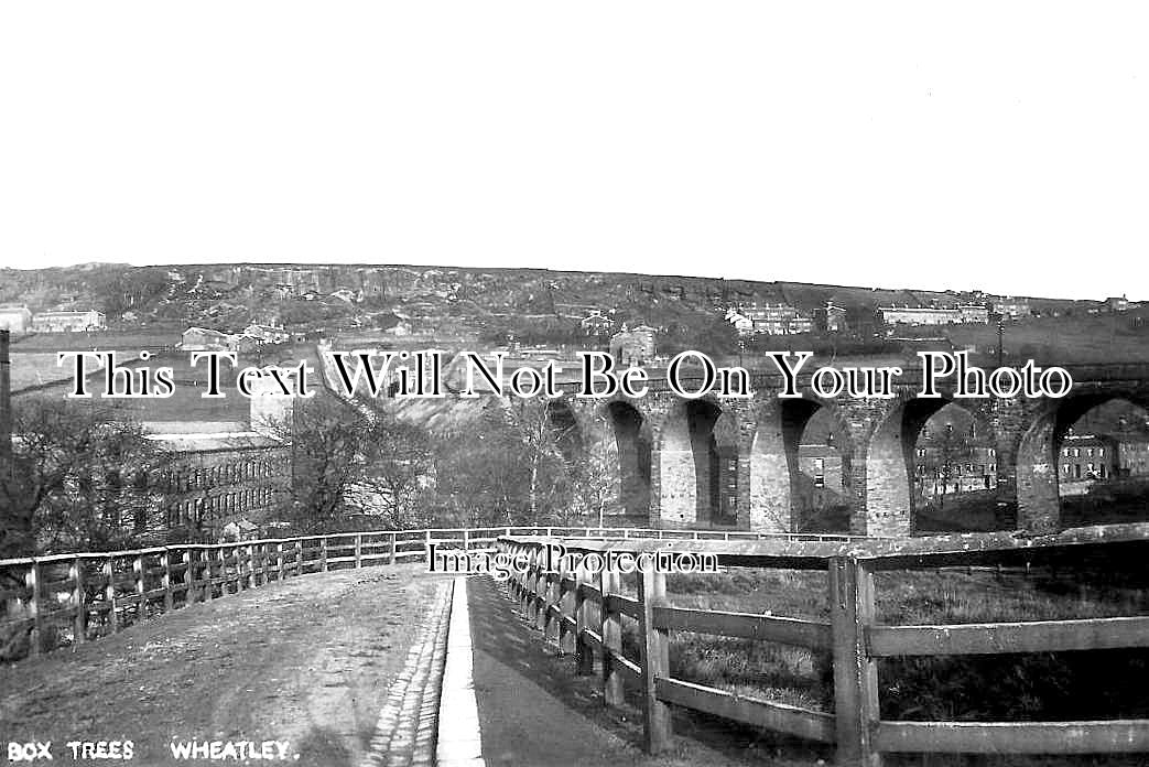 YO 8306 - Box Trees, Wheatley, Ovenden, Yorkshire