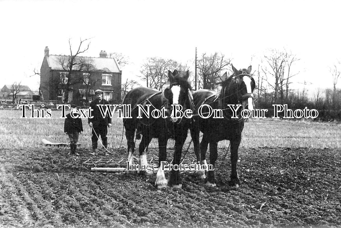 YO 9006 - Agriculture Scene, Farming, Yorkshire