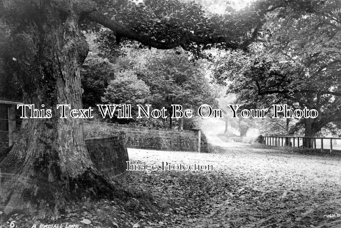 YO 9135 - A Birdsall Lane, Yorkshire