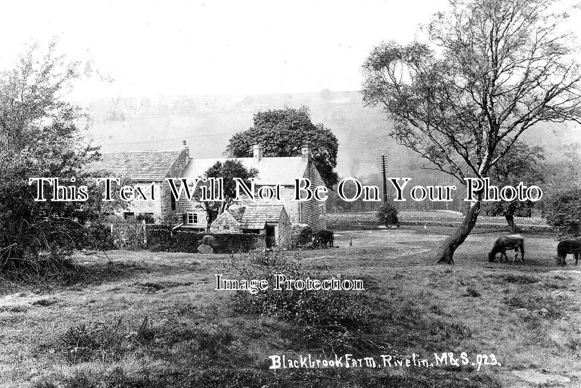 YO 9369 - Blackbrook Farm, Rivelin, Sheffield, Yorkshire c1907