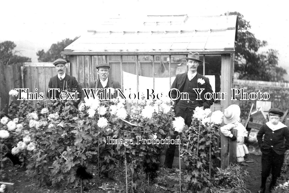 YO 9436 - Allotments At Sheffield, Yorkshire