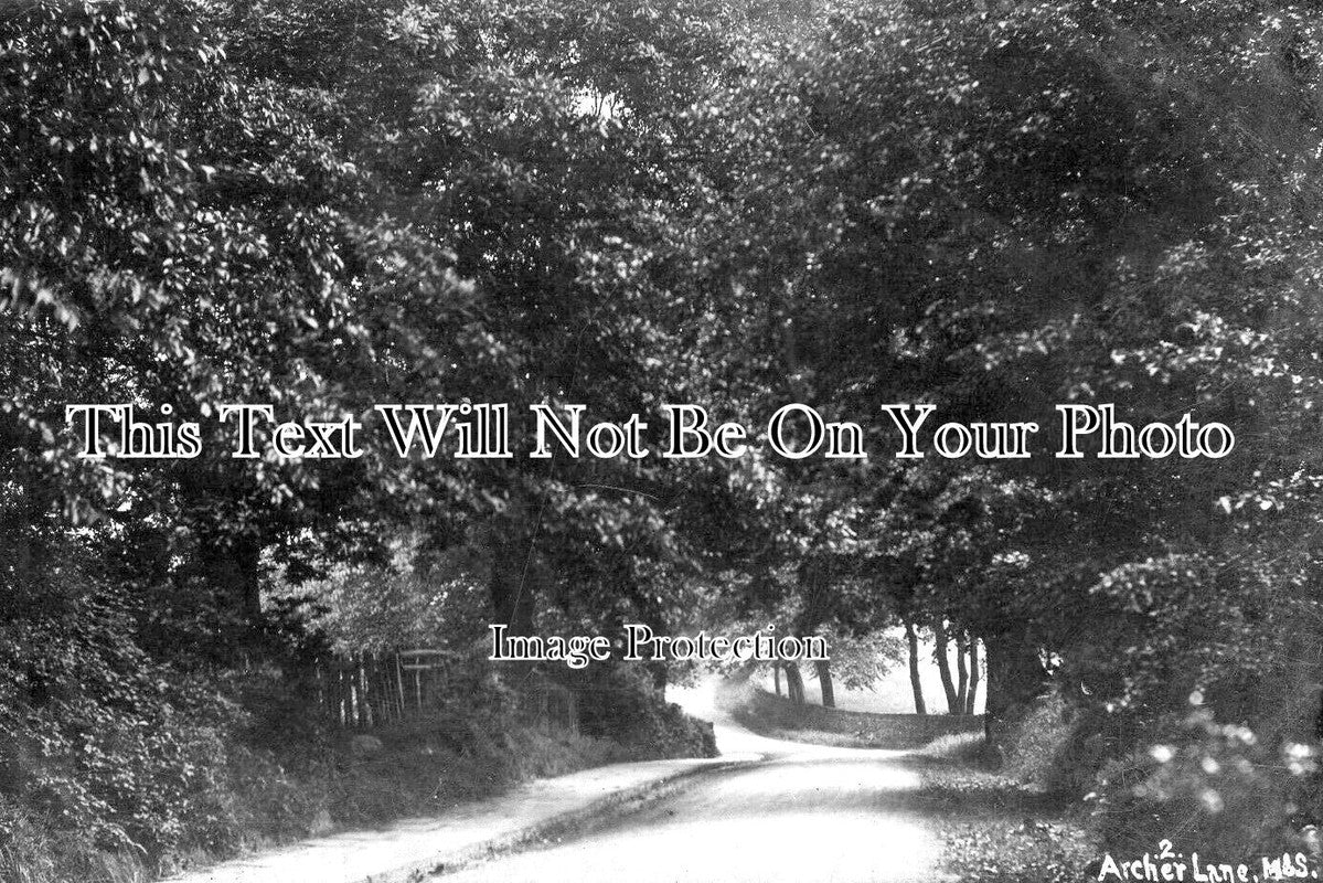 YO 9517 - Archer Lane, Sheffield, Yorkshire c1906
