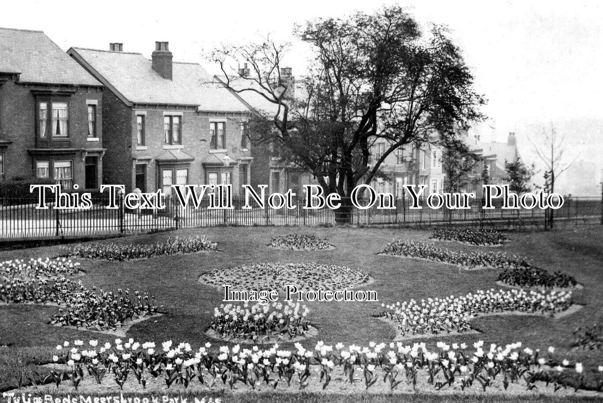 YO 9665 - The Tulip Beds, Meersbrook Park, Sheffield, Yorkshire c1906