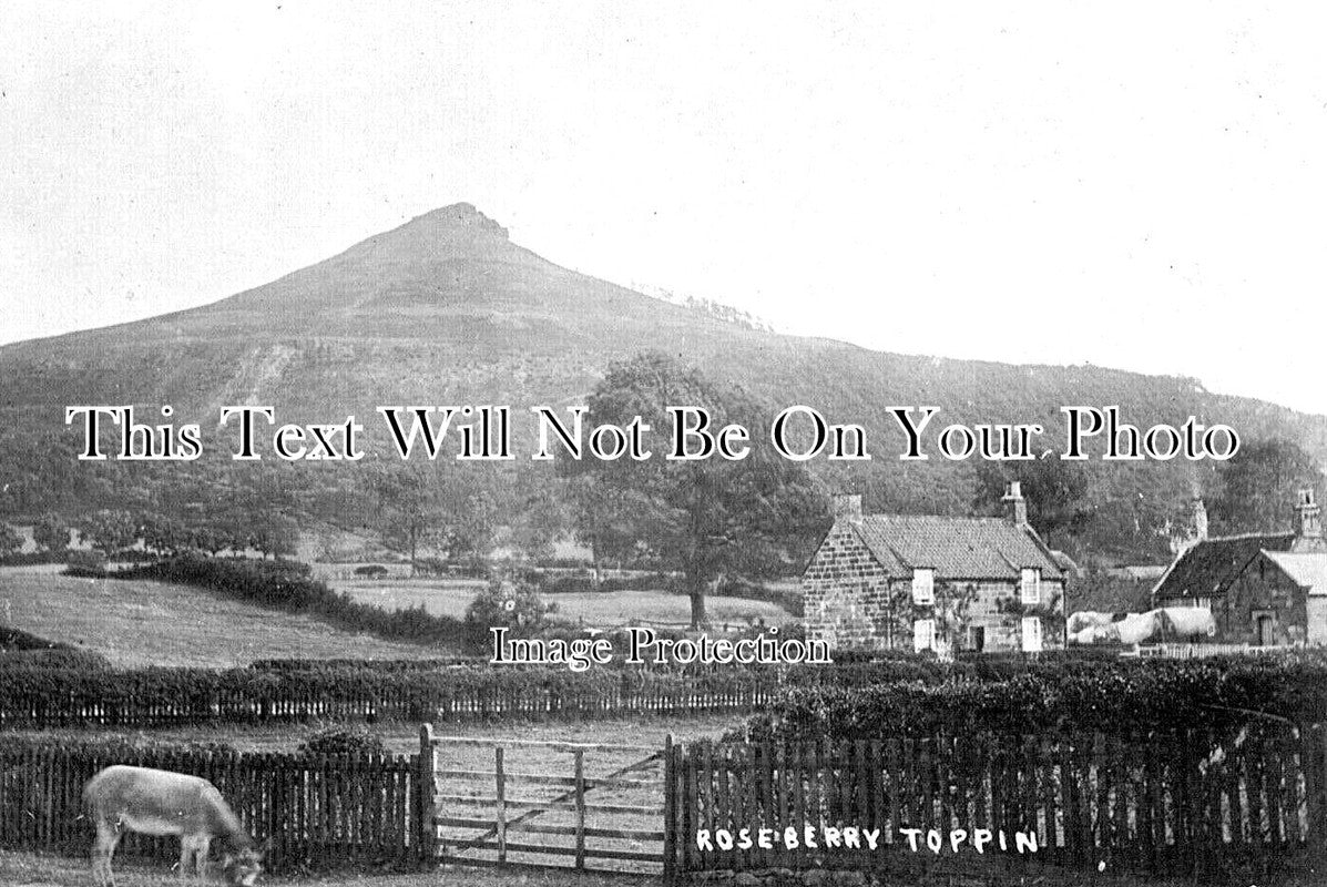 YO 9885 - Roseberry Topping, Great Ayton, Middlesbrough, Yorkshire