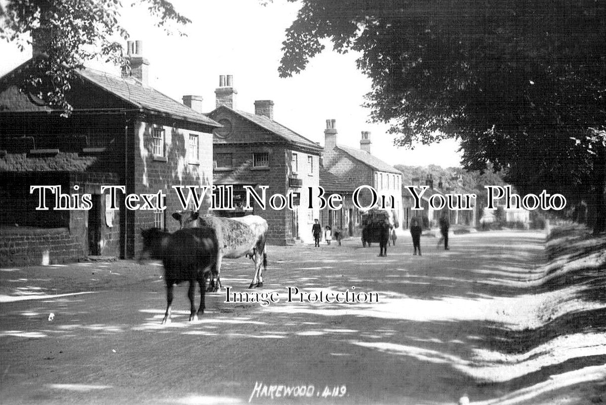 YO 9995 - Harewood, Yorkshire c1915