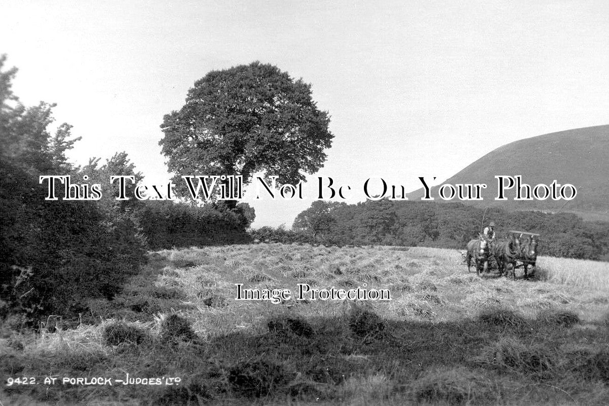 BR 1134 - Farming Hay At Porlock, Bristol