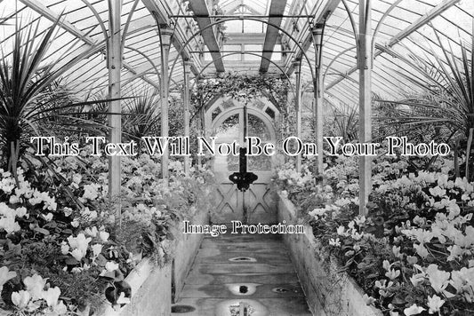 CH 3583 - Eaton Hall Greenhouse, Eccleston, Cheshire