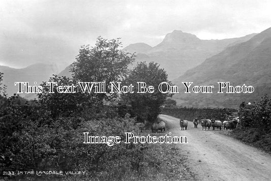 CU 2314 - In The Langdale Valley, Cumbria c1914