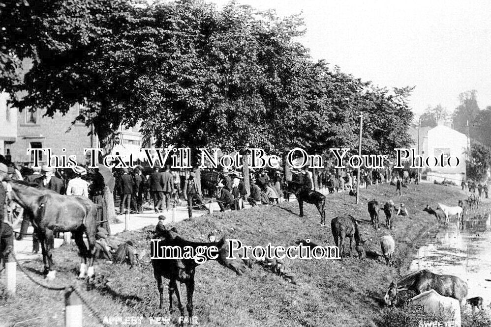 CU 2347 - Appleby New Horse Fair, Cumbria c1906