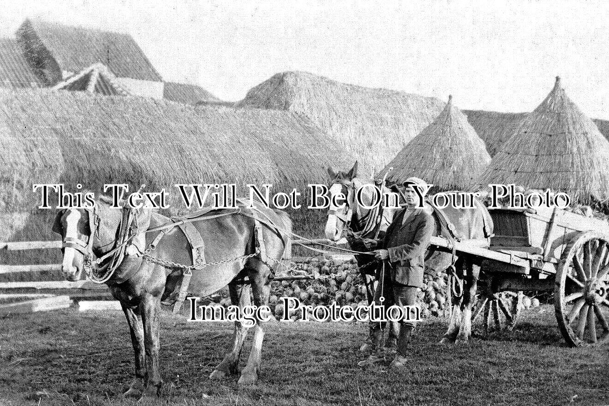 CU 2348 - Wigton Farm, Cumbria c1907