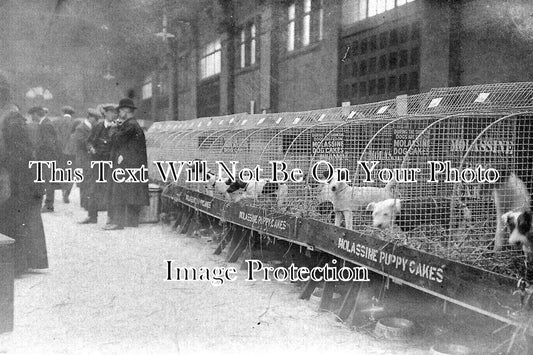 CU 2407 - Dog Show, Market Hall, Carlisle, Cumbria c1910