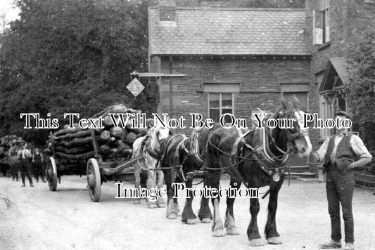 CU 2419 - Timber Wagons, Barrown In Furness, Cumbria