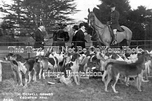 DR 3749 - The Meynell Hounds, Egginton Hall, Derbyshire