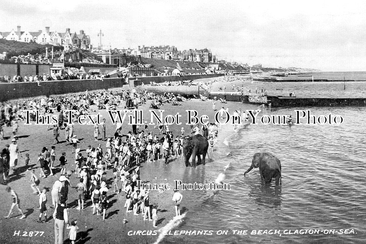 ES 6432 - Circus Elephants On The Beach, Clacton On Sea, Essex