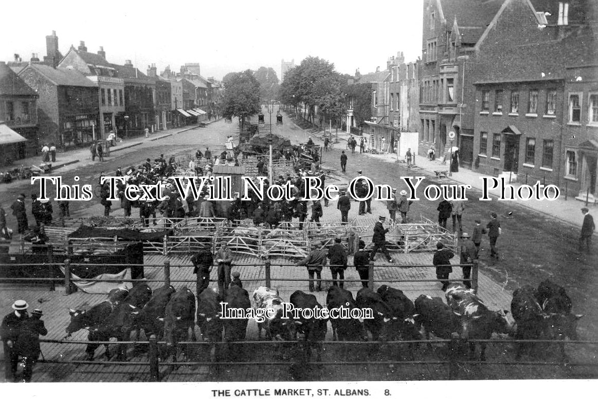 HF 2546 - The Cattle Market, St Albans, Hertfordshire