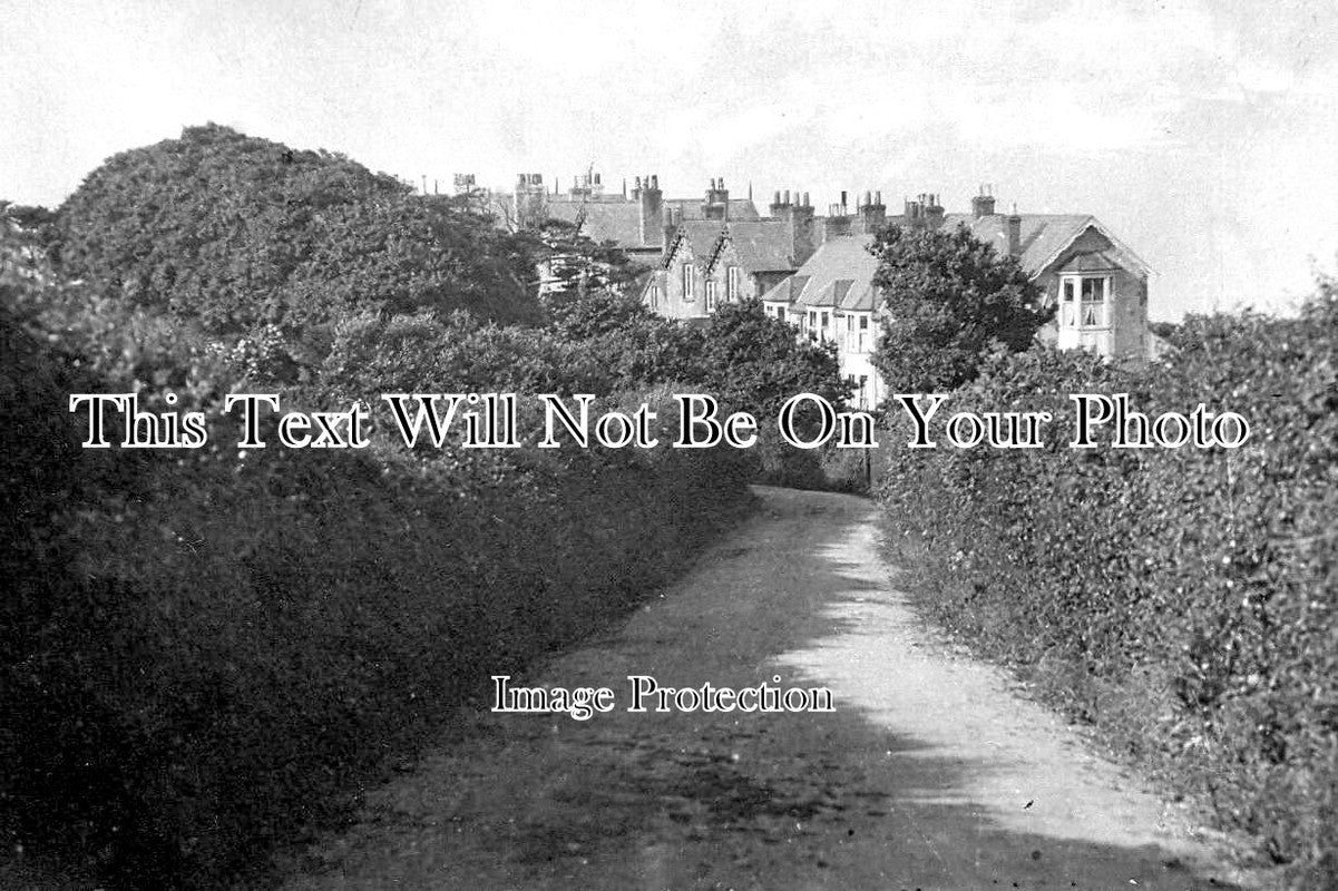 IO 1277 - Cliff Terrace, Chale, Isle Of Wight c1920