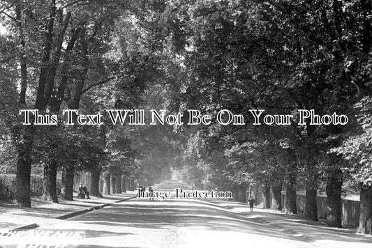 KE 6265 - The Avenue, Erith, Kent