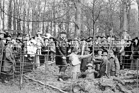 KE 6412 - Quex Park Tree Planting, Birchington On Sea, Kent c1918