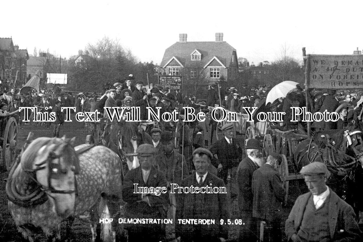 KE 6440 - Hop Demonstration, Tenterden, Kent 1908