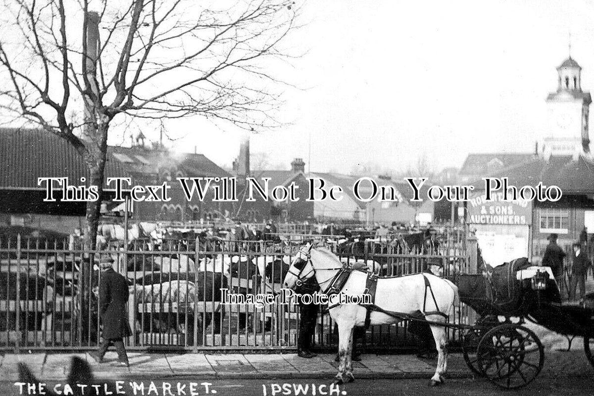 SF 4532 - The Cattle Market, Ipswich, Suffolk