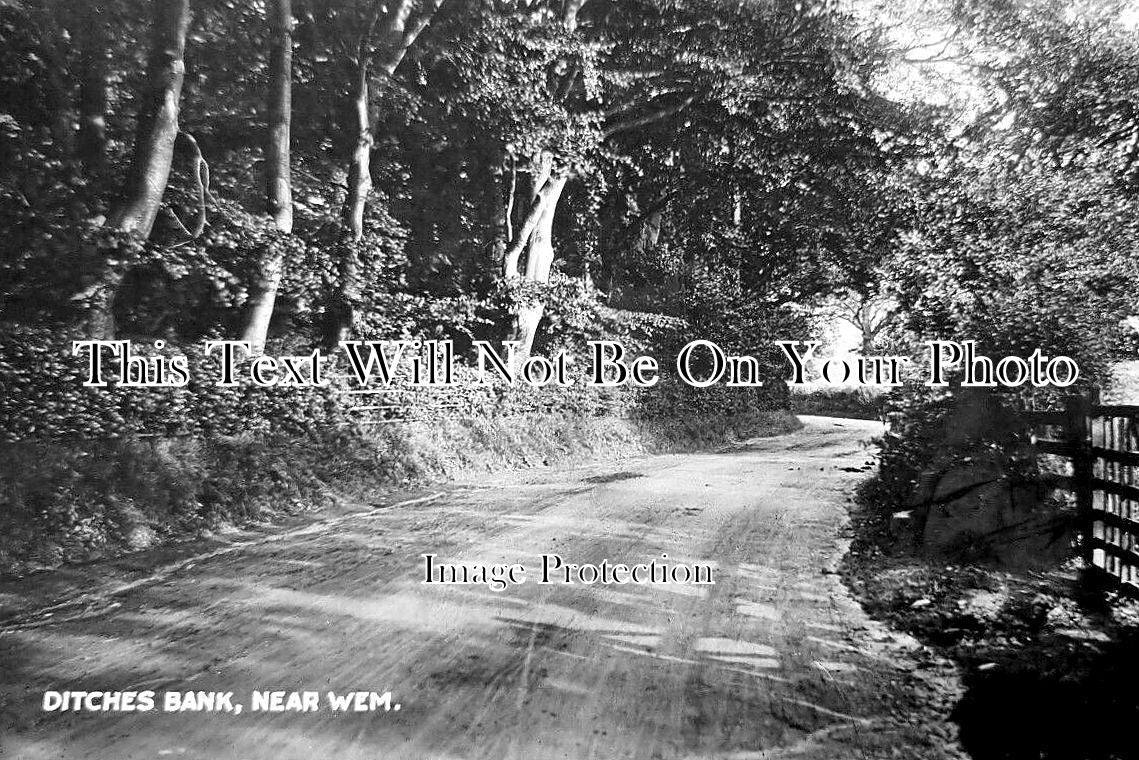 SH 1131 - Ditches Bank Near Wem, Shropshire