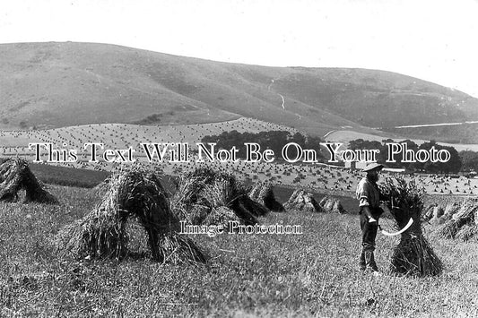 SU 4031 - The Kingston Hills, Surrey c1917