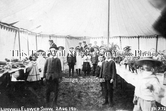 SX 6085 - Flimwell Flower Show, Sussex 1911