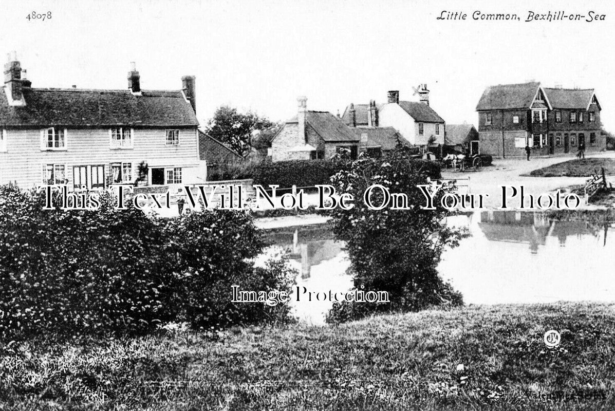 SX 6148 - Little Common, Bexhill On Sea, Sussex c1905