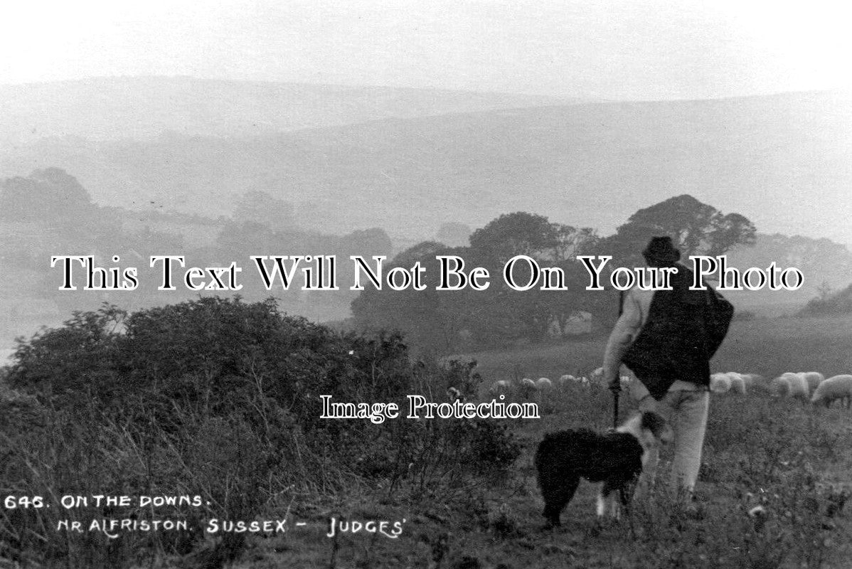 SX 6177 - On The Sussex Downs Near Alfriston, Sussex