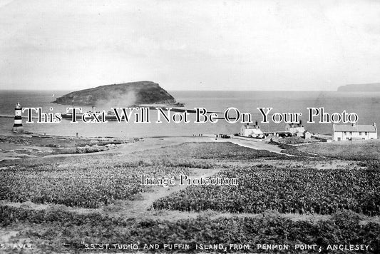 WL 3214 - SS St Tudno & Puffin Island From Penmon Point, Anglesey, Wales