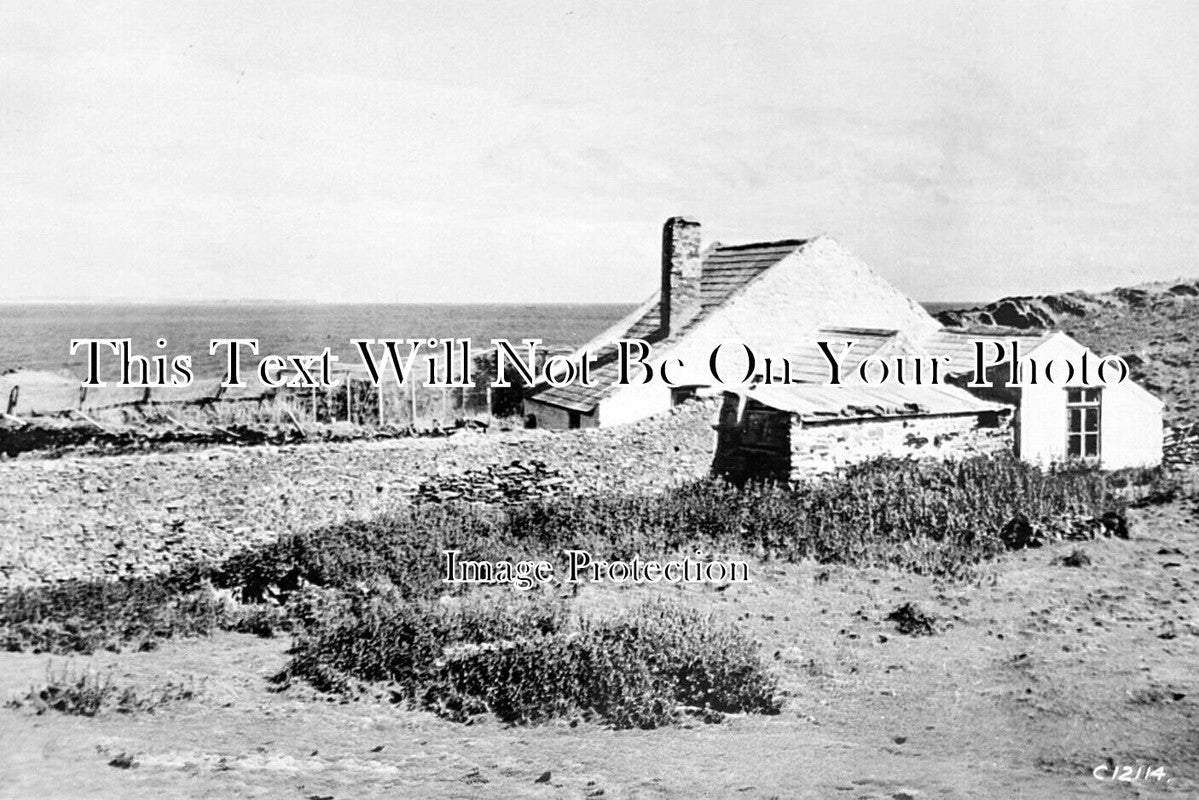 WL 3263 - Stockholm Bird Observatory, Pembrokeshire, Wales