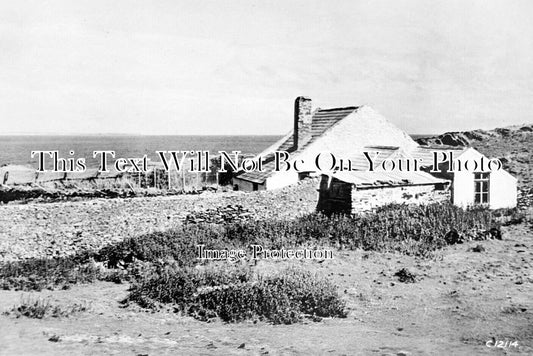 WL 3263 - Stockholm Bird Observatory, Pembrokeshire, Wales