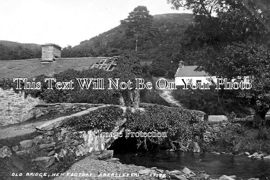 WL 3699 - Old Bridge, Hen Factory, Aberllefnni, Wales